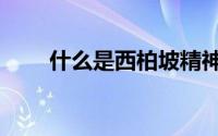 什么是西柏坡精神（什么是西贝绒）