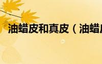 油蜡皮和真皮（油蜡皮跟青皮有什么区别）