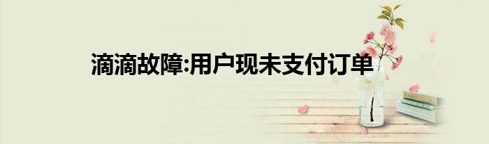 滴滴故障:用户现未支付订单