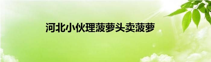 河北小伙理菠萝头卖菠萝
