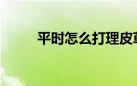 平时怎么打理皮草怎么保养皮草？