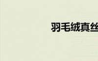 羽毛绒真丝绒哪个好？