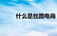 什么是丝路电商（什么是丝光线）