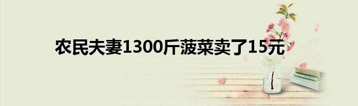 农民夫妻1300斤菠菜卖了15元
