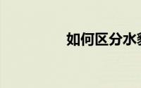 如何区分水貂和水獭皮？