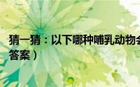 猜一猜：以下哪种哺乳动物会飞（支付宝蚂蚁庄园12月27日答案）