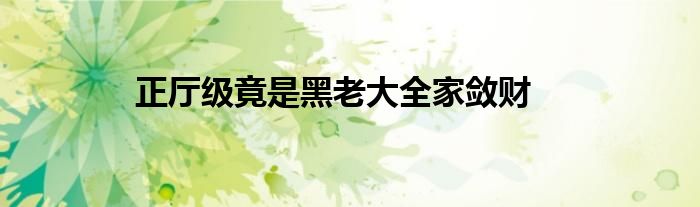 正厅级竟是黑老大全家敛财