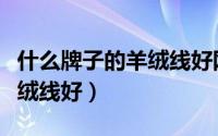 什么牌子的羊绒线好网上哪卖（什么牌子的羊绒线好）
