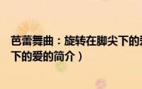 芭蕾舞曲：旋转在脚尖下的爱（关于芭蕾舞曲：旋转在脚尖下的爱的简介）