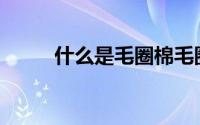 什么是毛圈棉毛圈棉有什么特点？