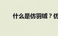 什么是仿羽绒？仿羽绒是什么材料？