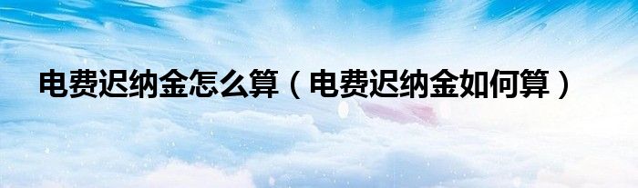 电费迟纳金怎么算（电费迟纳金如何算）