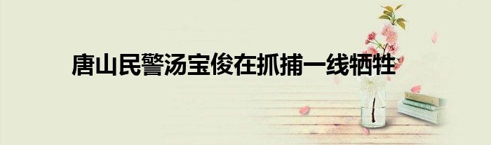 唐山民警汤宝俊在抓捕一线牺牲