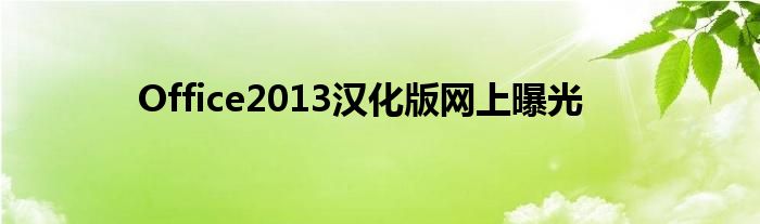 Office2013汉化版网上曝光