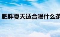 肥胖夏天适合喝什么茶（肥胖夏天适合啥茶）