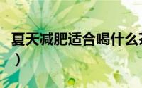 夏天减肥适合喝什么茶（夏天减肥适合喝的茶）
