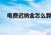 电费迟纳金怎么算（电费迟纳金如何算）
