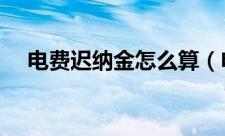 电费迟纳金怎么算（电费迟纳金如何算）