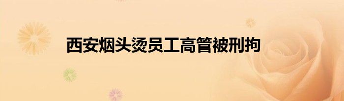 西安烟头烫员工高管被刑拘