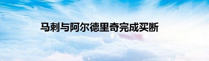 马刺与阿尔德里奇完成买断