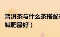 普洱茶与什么茶搭配减肥好（普洱茶搭配什么减肥最好）