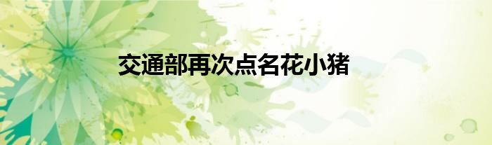 交通部再次点名花小猪
