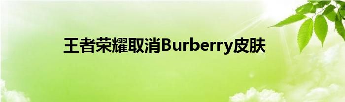 王者荣耀取消Burberry皮肤