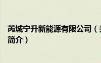 芮城宁升新能源有限公司（关于芮城宁升新能源有限公司的简介）