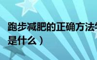 跑步减肥的正确方法学（跑步减肥的最佳方法是什么）