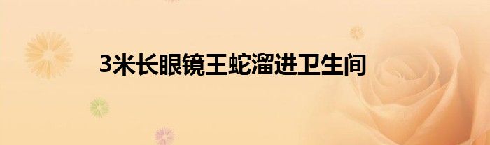 3米长眼镜王蛇溜进卫生间