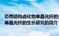 芯壳结构卤化物单晶光纤的生长研究（关于芯壳结构卤化物单晶光纤的生长研究的简介）