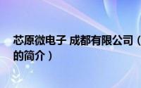 芯原微电子 成都有限公司（关于芯原微电子 成都有限公司的简介）