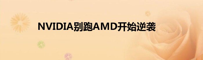 NVIDIA别跑AMD开始逆袭