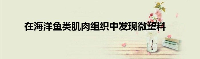 在海洋鱼类肌肉组织中发现微塑料