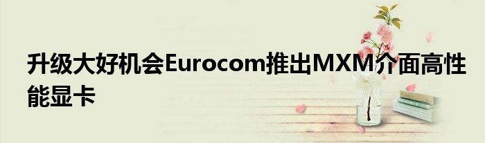 升级大好机会Eurocom推出MXM介面高性能显卡