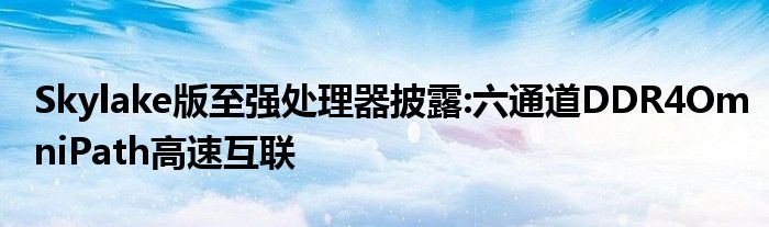 Skylake版至强处理器披露:六通道DDR4OmniPath高速互联