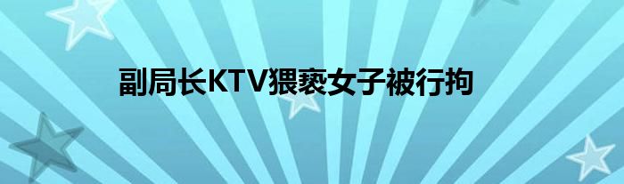 副局长KTV猥亵女子被行拘