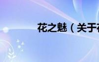 花之魅（关于花之魅的简介）