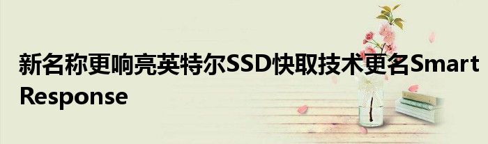 新名称更响亮英特尔SSD快取技术更名SmartResponse