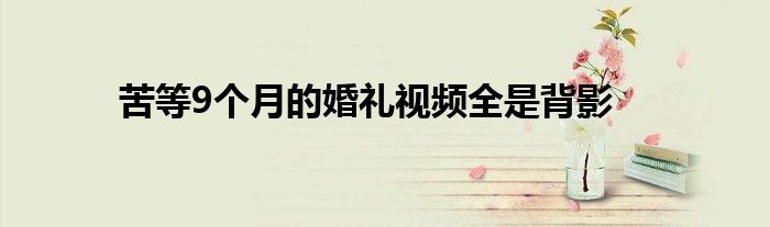 苦等9个月的婚礼视频全是背影