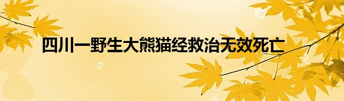 四川一野生大熊猫经救治无效死亡