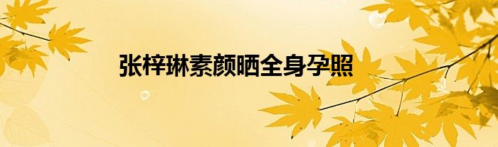 张梓琳素颜晒全身孕照