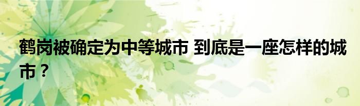 鹤岗被确定为中等城市 到底是一座怎样的城市？