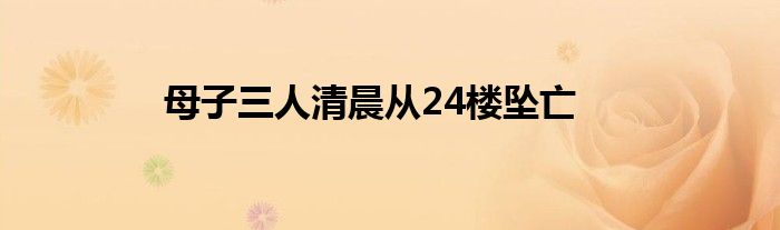 母子三人清晨从24楼坠亡