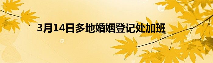 3月14日多地婚姻登记处加班
