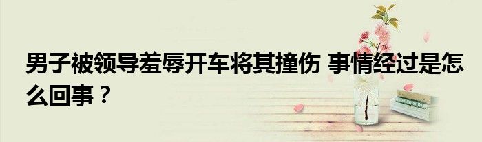 男子被领导羞辱开车将其撞伤 事情经过是怎么回事？