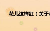花儿这样红（关于花儿这样红的简介）