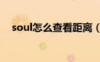 soul怎么查看距离（soul查看距离方法）