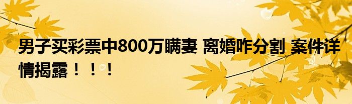 男子买彩票中800万瞒妻 离婚咋分割 案件详情揭露！！！