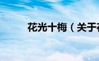 花光十梅（关于花光十梅的简介）